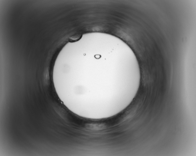 X0000088050251200706081635