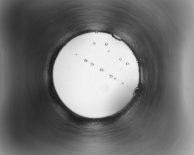 X0000088050252200706081635