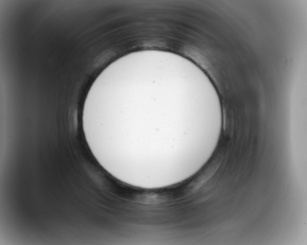 X0000088050253200706081635