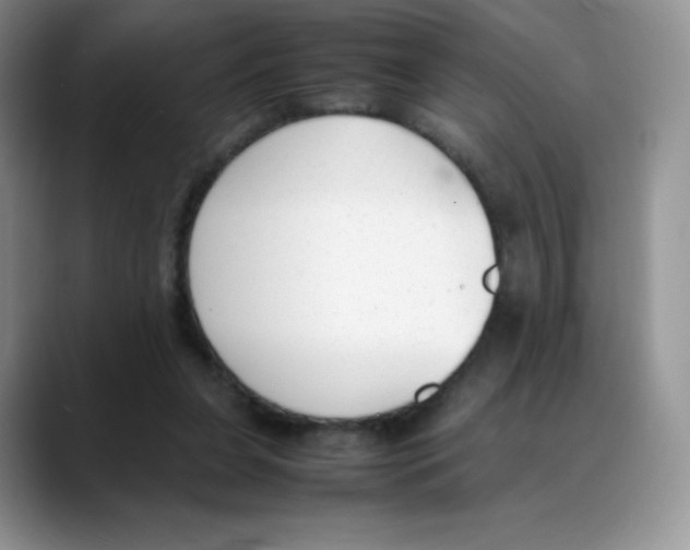 X0000088050255200706081635