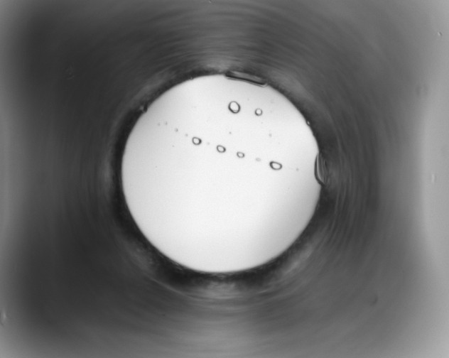 X0000088050256200706081635