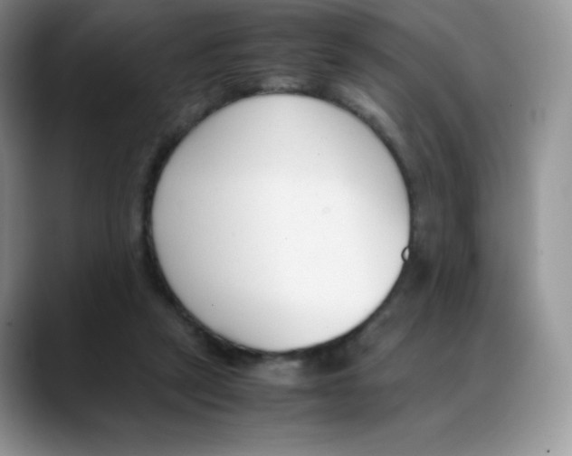X0000088050257200706081635