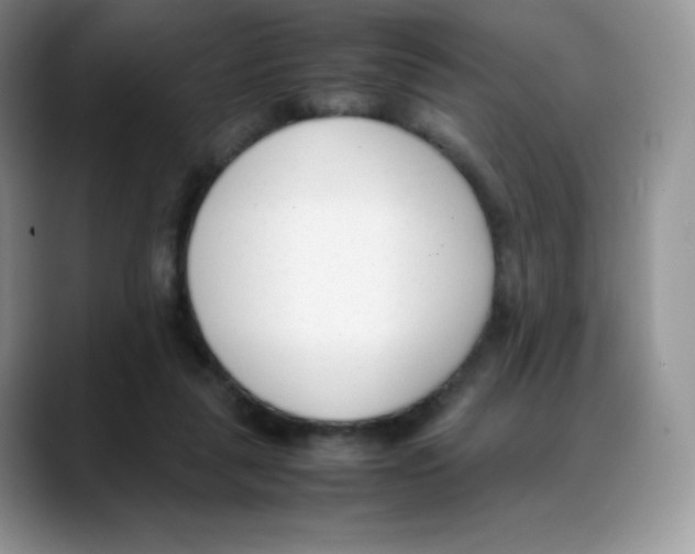 X0000088050259200706081635