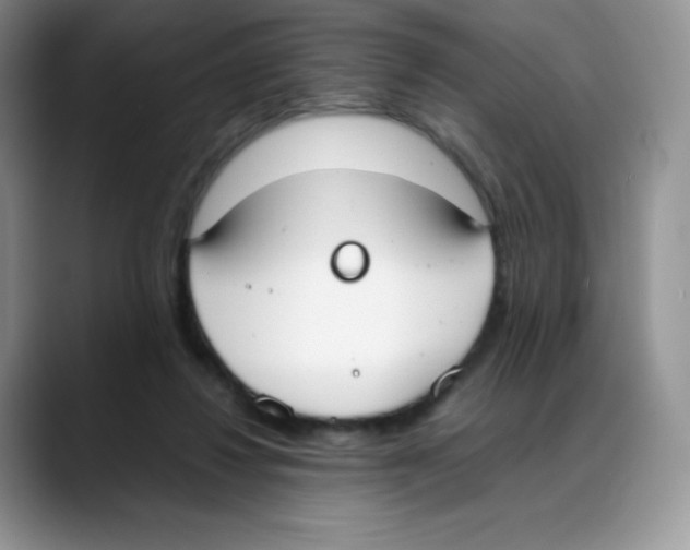 X0000088050260200706081635