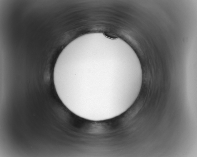 X0000088050261200706081635