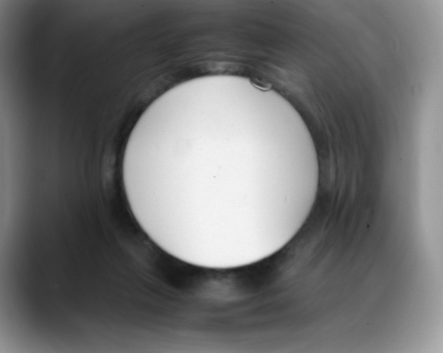 X0000088050263200706081635