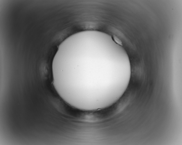 X0000088050264200706081635