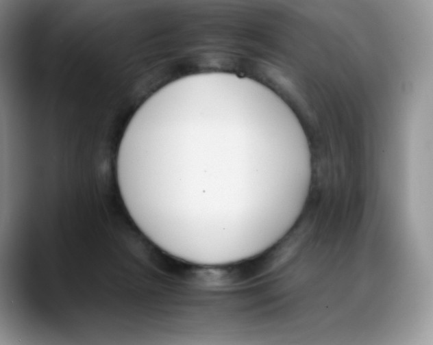 X0000088050265200706081635