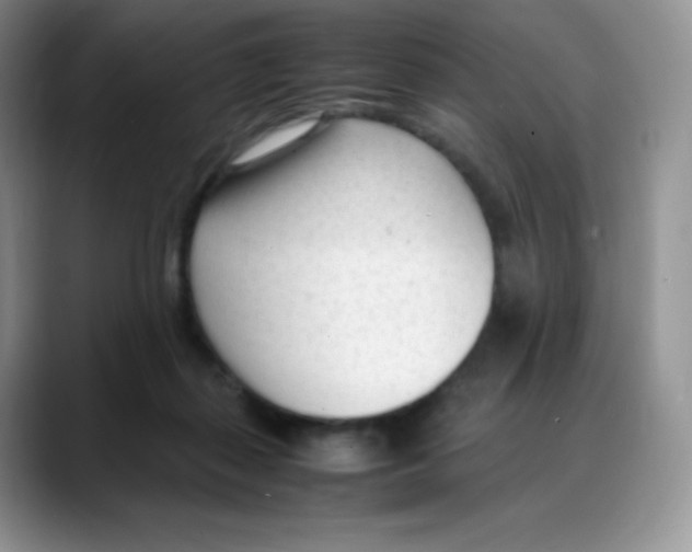 X0000088050267200706081635