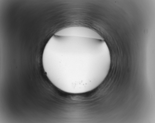 X0000088050268200706081635