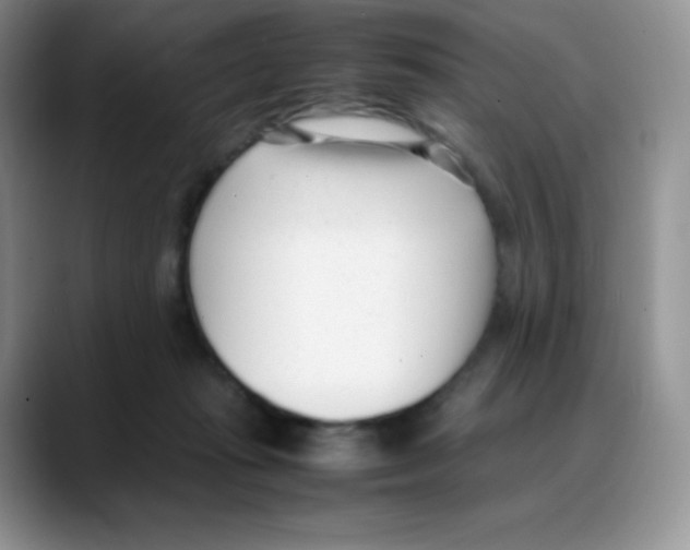 X0000088050269200706081635