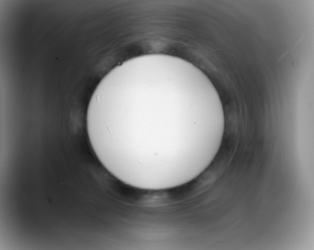 X0000088050274200706081635