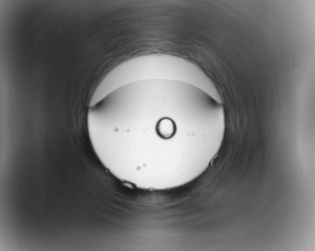 X0000088050276200706081635