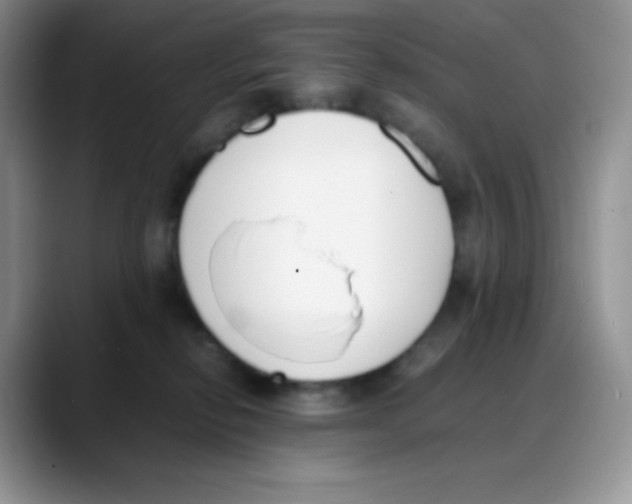 X0000088050278200706081635