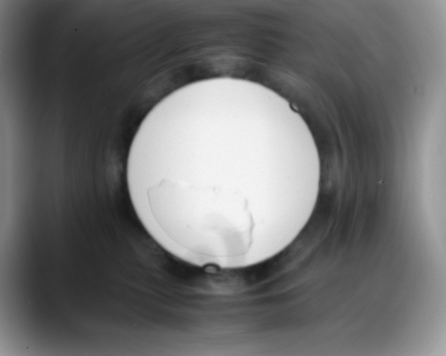X0000088050279200706081635