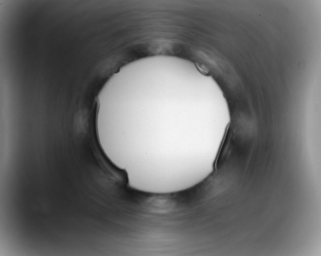 X0000088050280200706081635