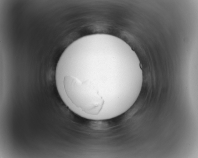 X0000088050281200706081635