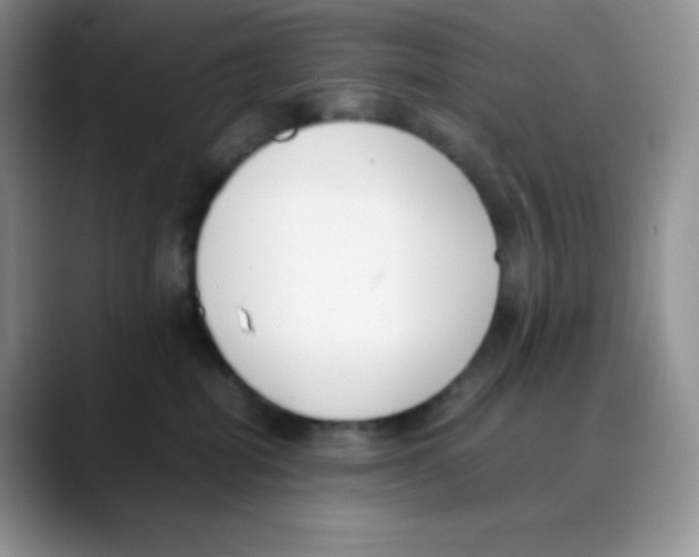 X0000088050282200706081635