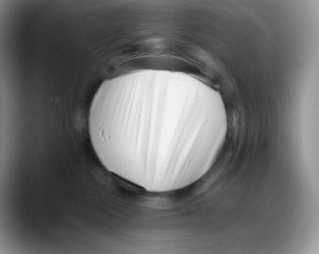 X0000088050284200706081635