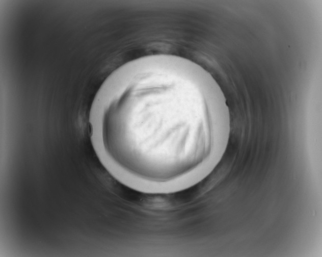 X0000088050285200706081635