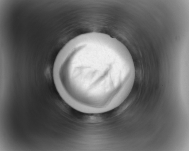 X0000088050286200706081635
