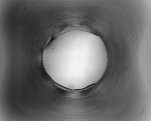 X0000088050288200706081635