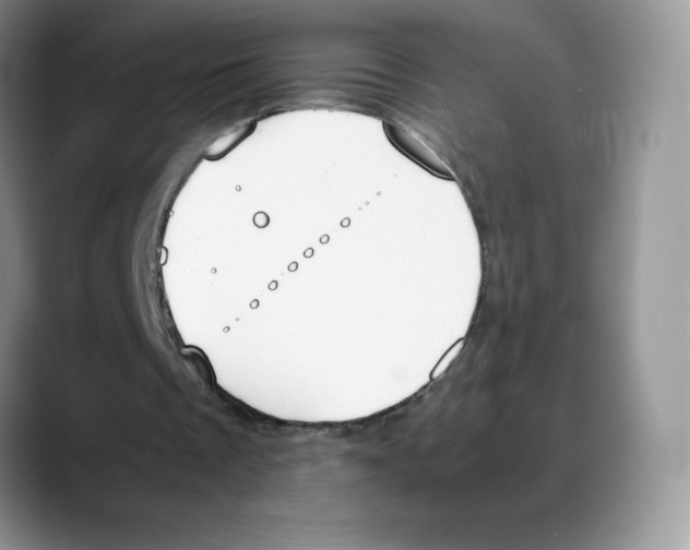X0000088050289200706081635