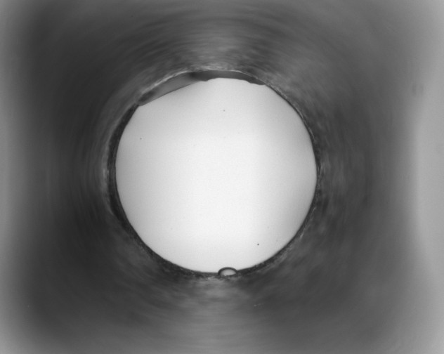 X0000088050290200706081635