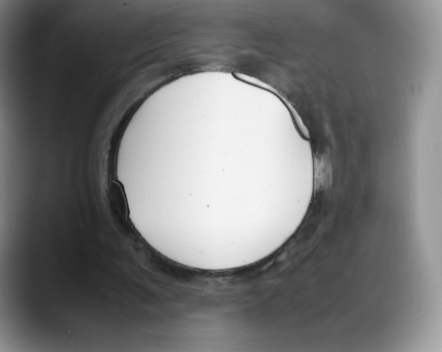 X0000088050291200706081635