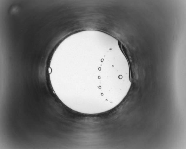 X0000088050292200706081635