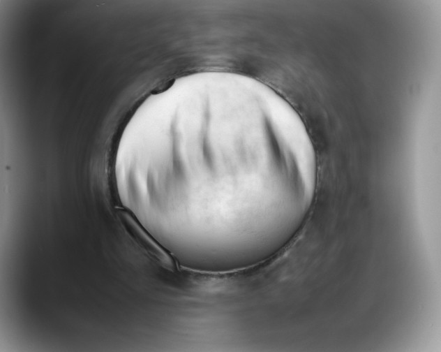 X0000088050293200706081635