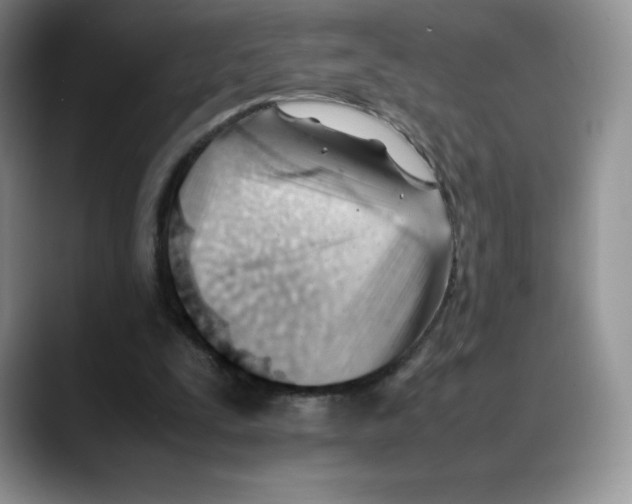 X0000088050295200706081635