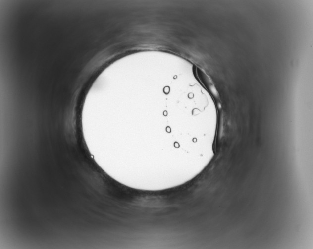 X0000088050296200706081635