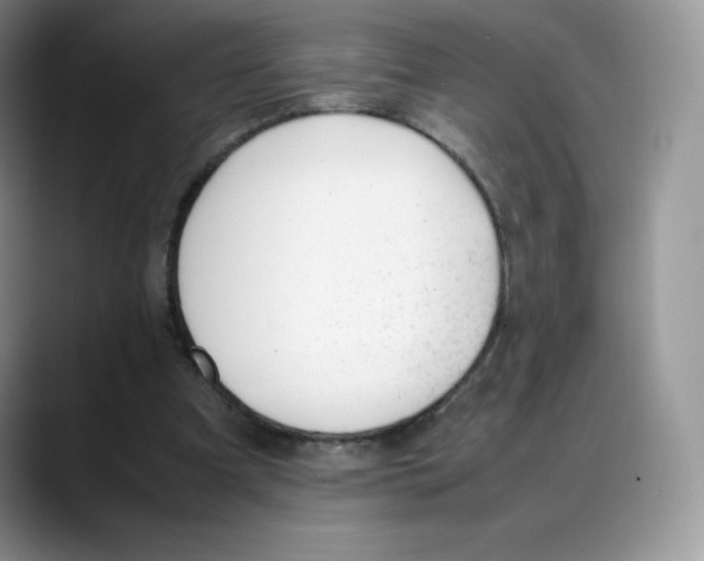 X0000088050297200706081635
