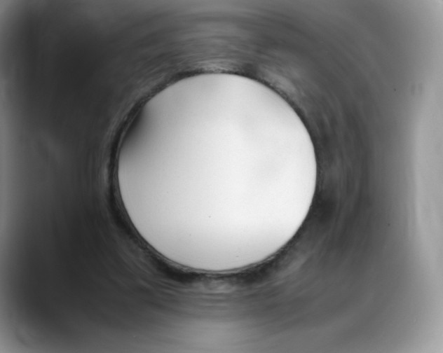 X0000088050299200706081635
