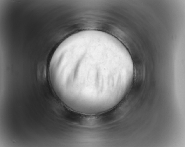 X0000088050301200706081635