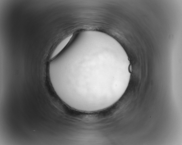 X0000088050303200706081635