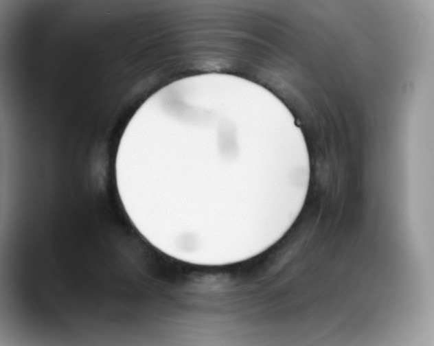 X0000088050304200706081635