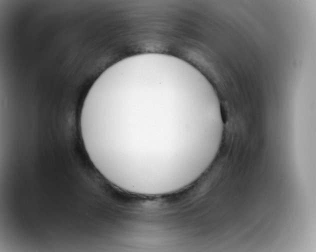 X0000088050306200706081635