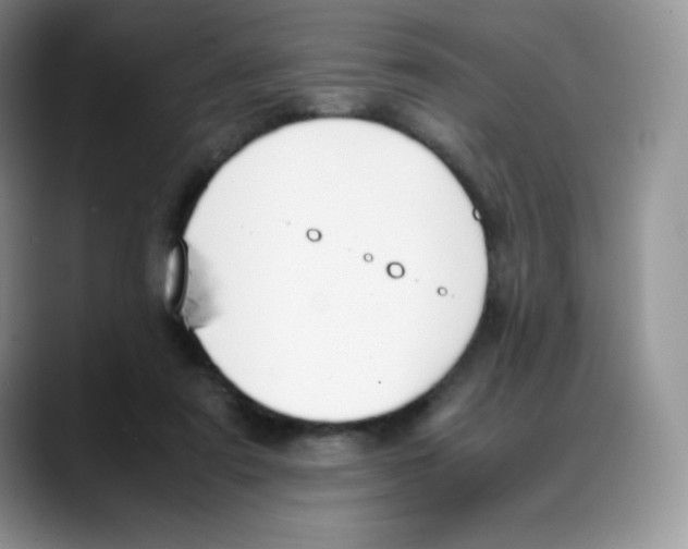 X0000088050307200706081635