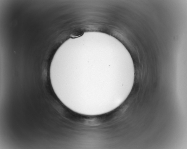 X0000088050309200706081635