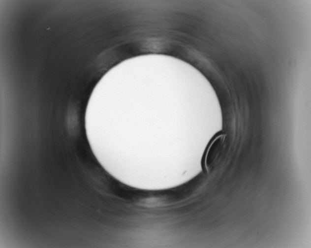 X0000088050312200706081635
