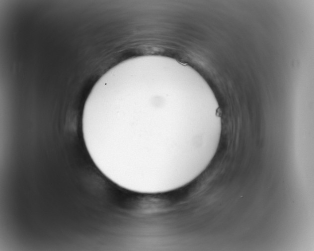X0000088050315200706081634