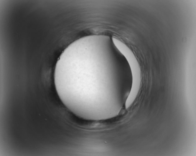 X0000088050319200706081634