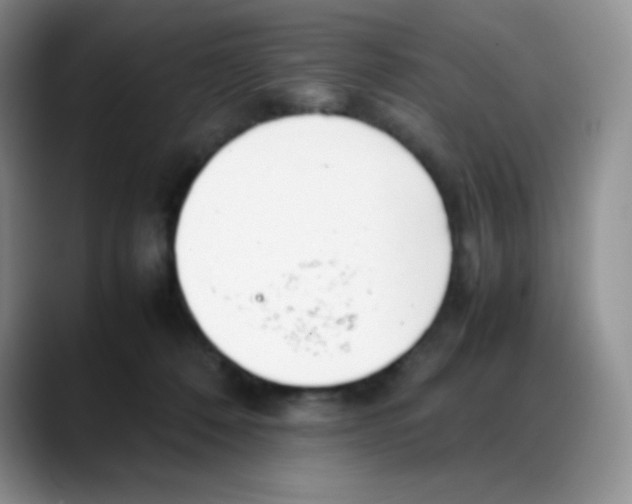 X0000088050320200706081634