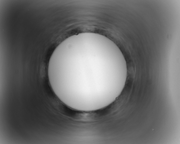 X0000088050323200706081634