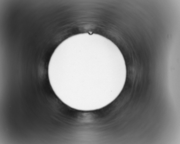 X0000088050324200706081634