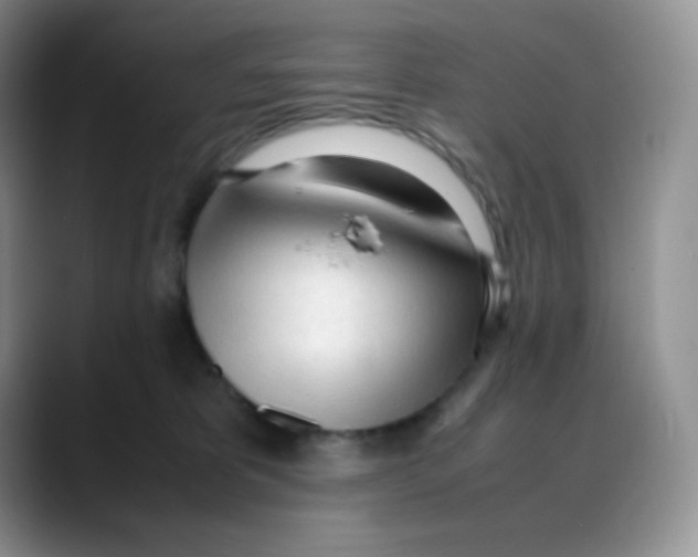 X0000088050325200706081634
