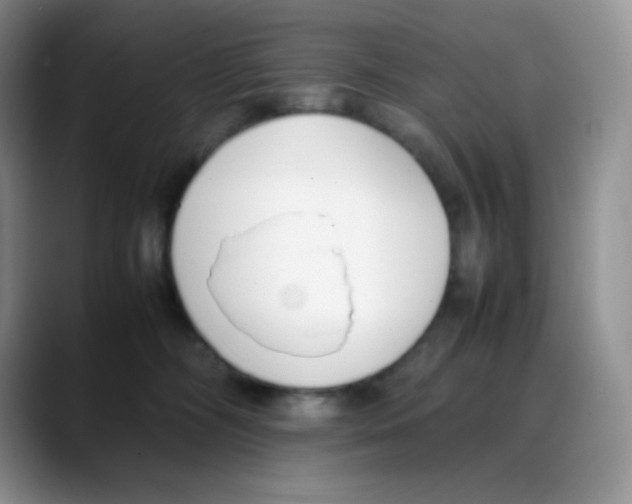 X0000088050326200706081634