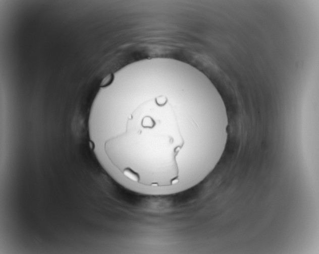 X0000088050327200706081634